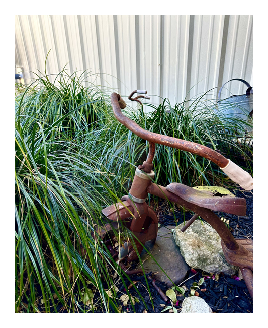 Art Photography Prints- 16 x 20- Vertical Individual Print- Landscape #4