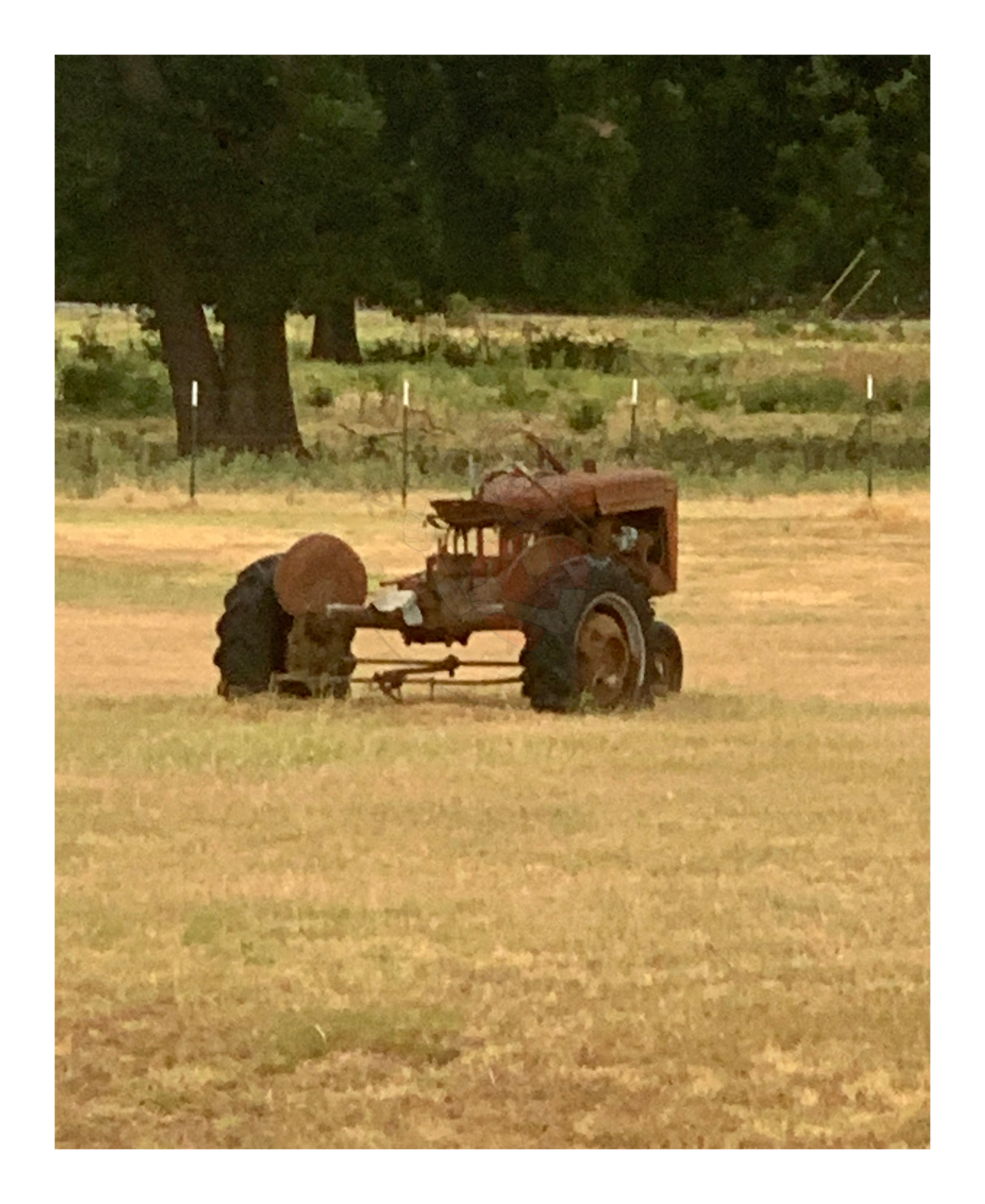 Art Photography Print- 16 x 20- Vertical Individual Print- Landscape #5
