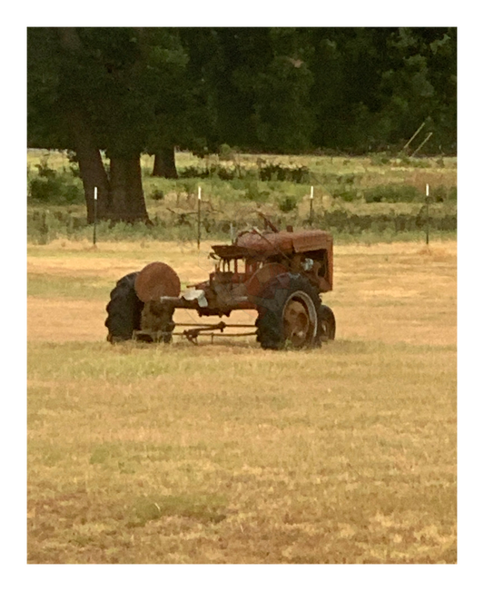 Art Photography Print- 16 x 20- Vertical Individual Print- Landscape #5