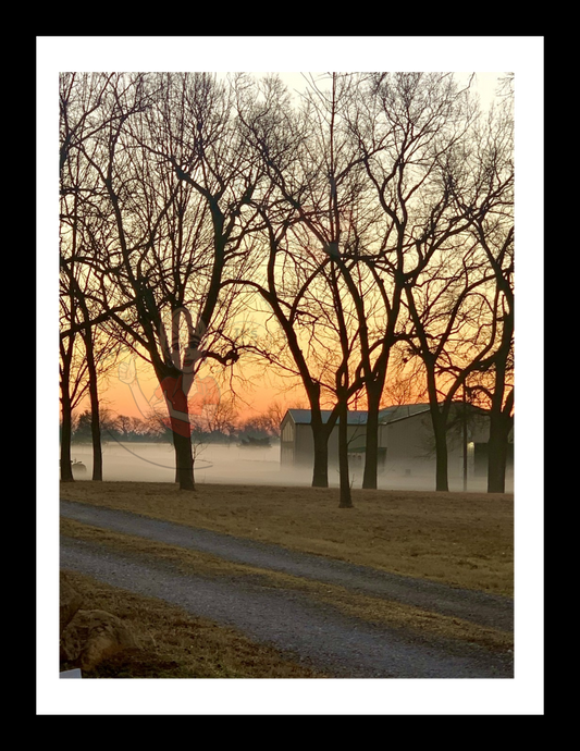 Art Photography Print- 16 x 20- Vertical Individual Print- Landscape #6