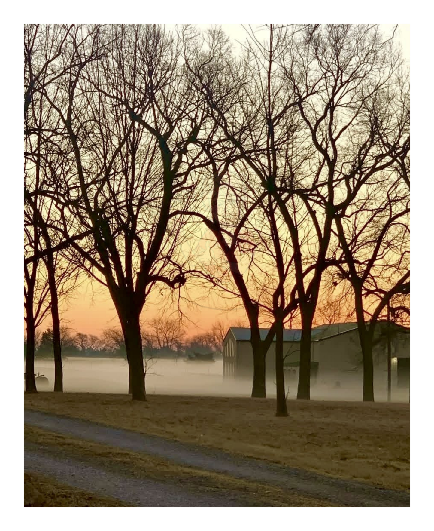 Art Photography Print- 16 x 20- Vertical Individual Print- Landscape #6