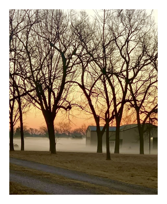 Art Photography Print- 16 x 20- Vertical Individual Print- Landscape #6